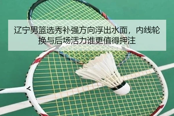 辽宁男篮选秀补强方向浮出水面，内线轮换与后场活力谁更值得押注
